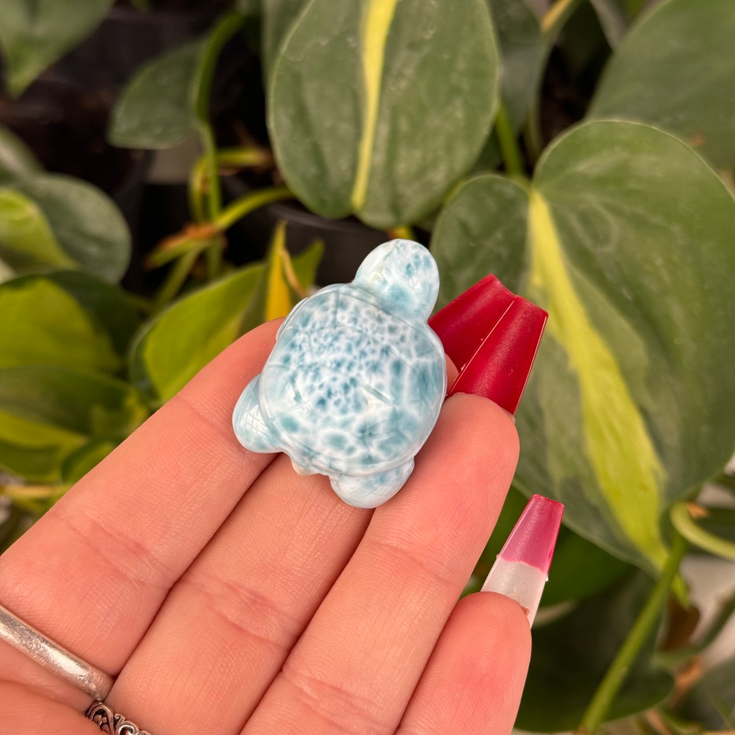 Mini Larimar Turtle