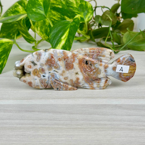 Ocean Jasper Fish Carving - A