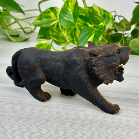 Extremely Detailed Tiger's Eye Carving - Diego