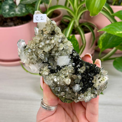 Black Epidote & Chlorite Quartz Specimen (Forest Quartz)