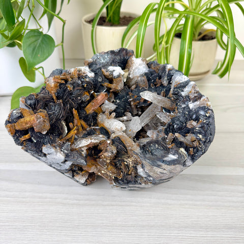 Hematite Roses With Harlequin Quartz Specimen