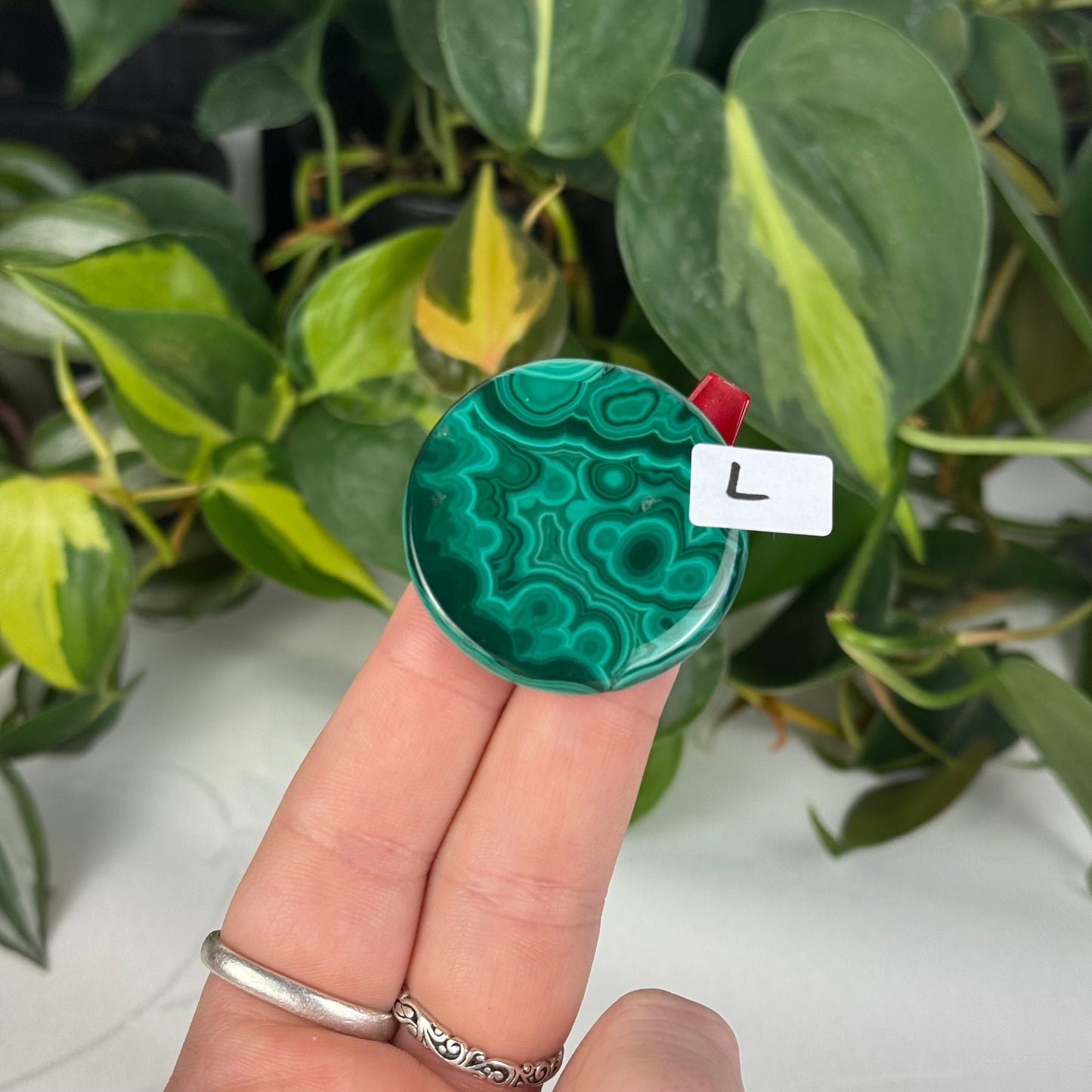 Mini Malachite Cookie