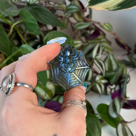 Labradorite Spider Web