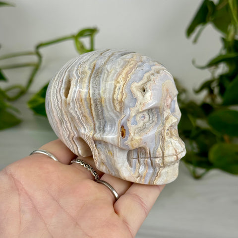Crazy Lace Agate Skull