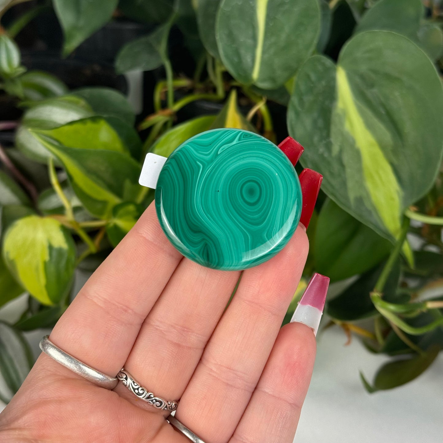 Mini Malachite Cookie