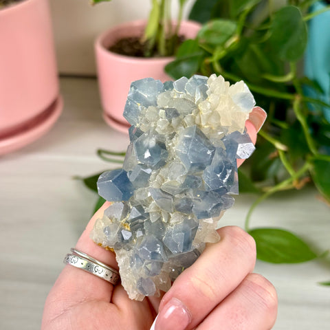 Celestite With Calcite Specimen