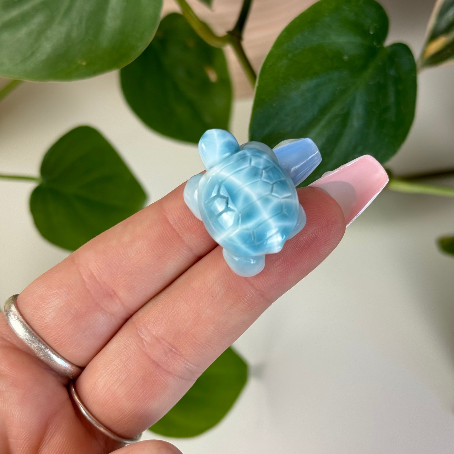 Small Larimar Turtle