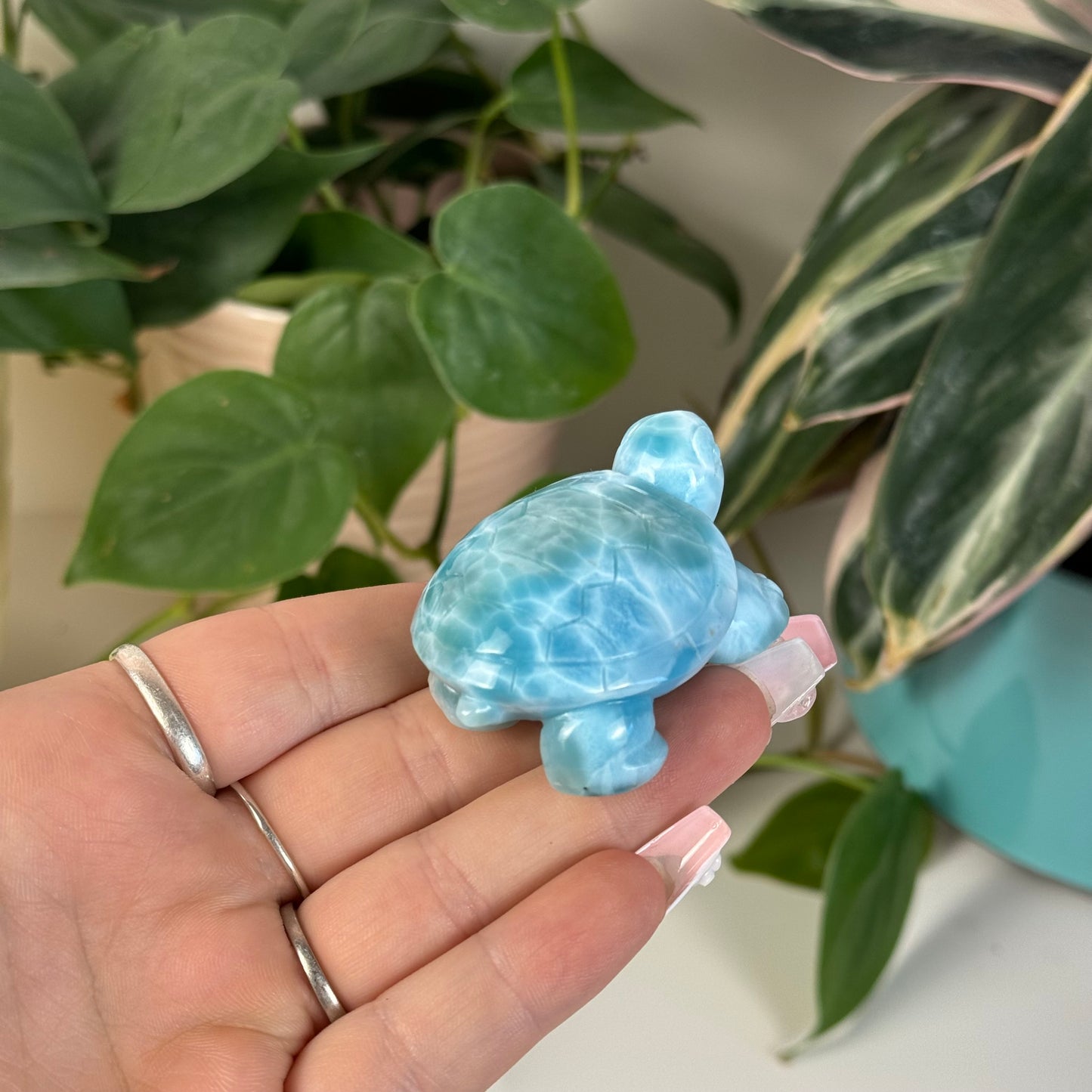 Large Larimar Turtle - I