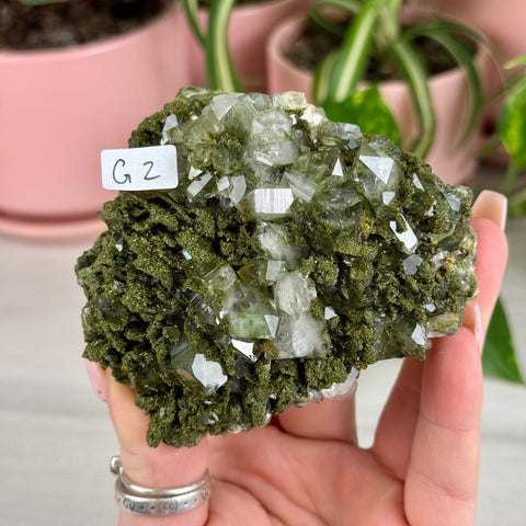 Black Epidote & Chlorite Quartz Specimen (Forest Quartz)