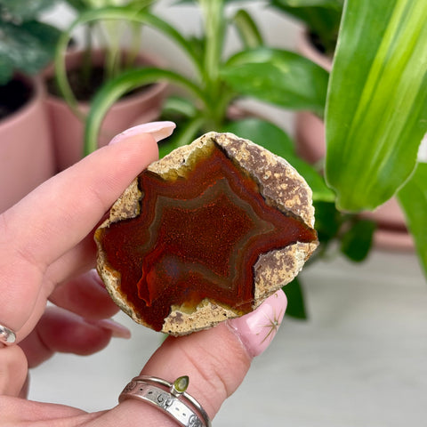Indi German Agate