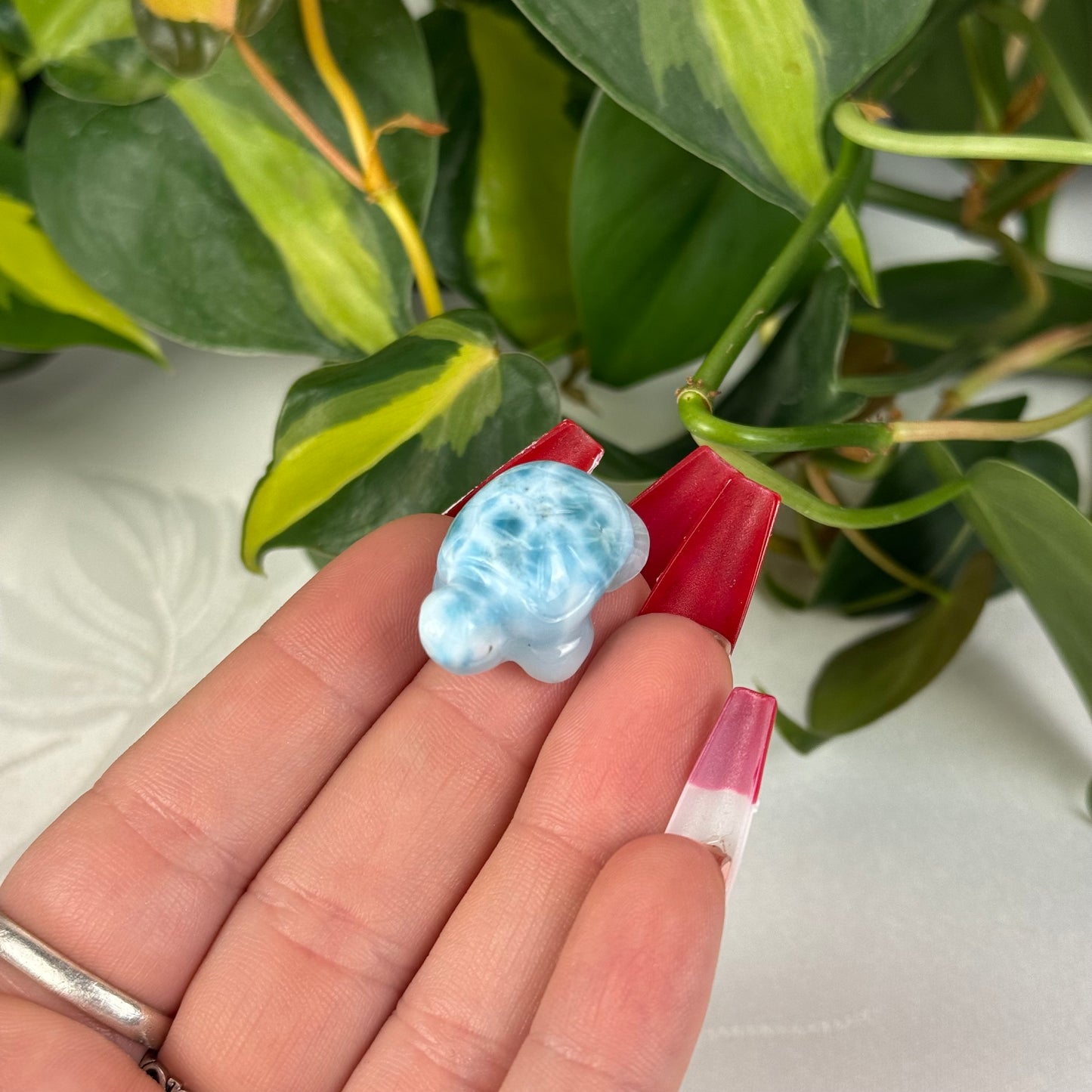 Mini Larimar Turtle