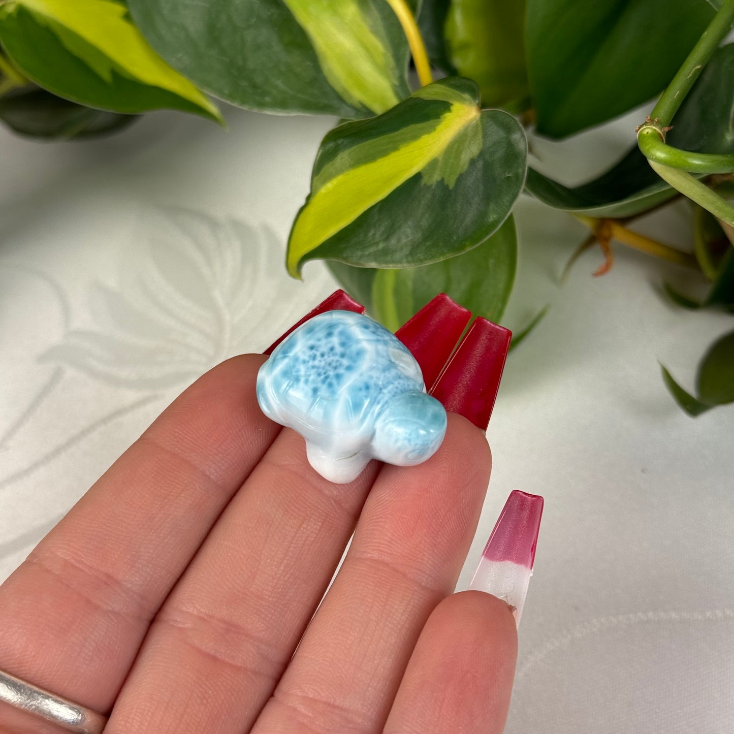 Mini Larimar Turtle