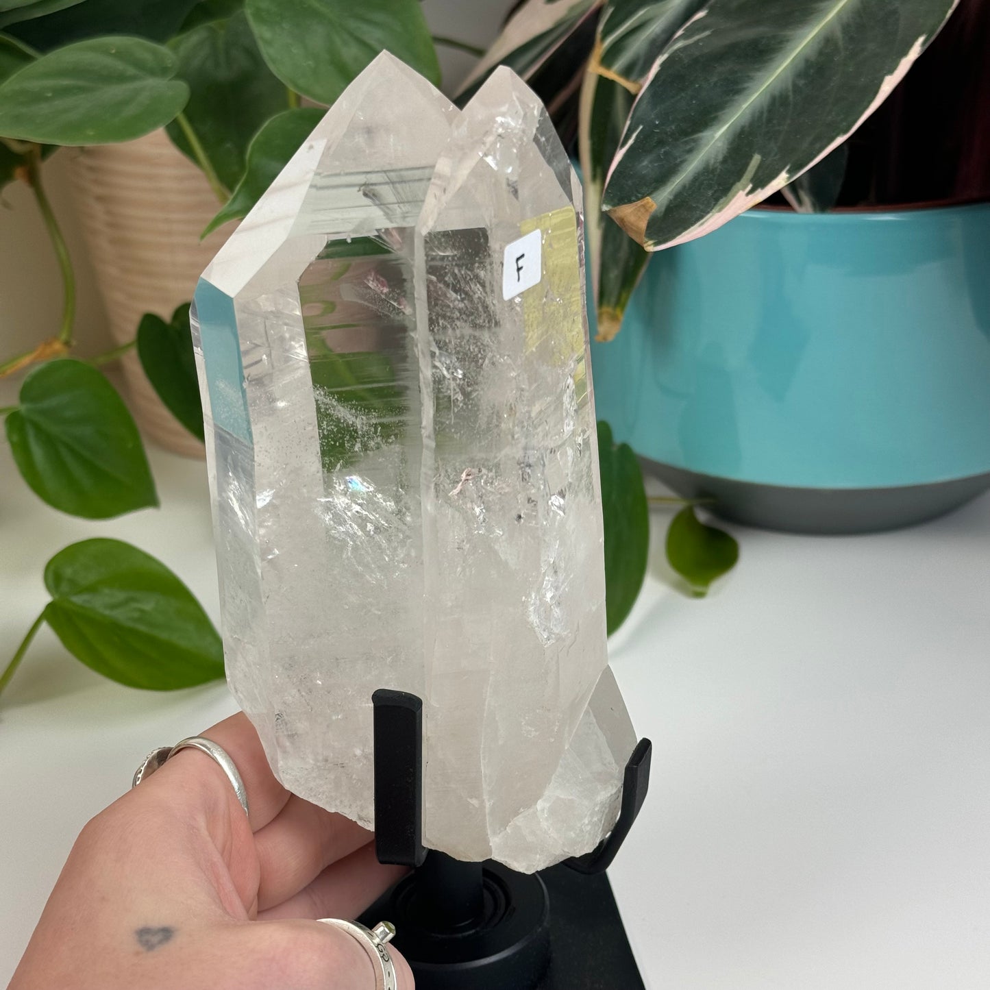 Incredible Lemurian Quartz (W/ Custom Stand) - F