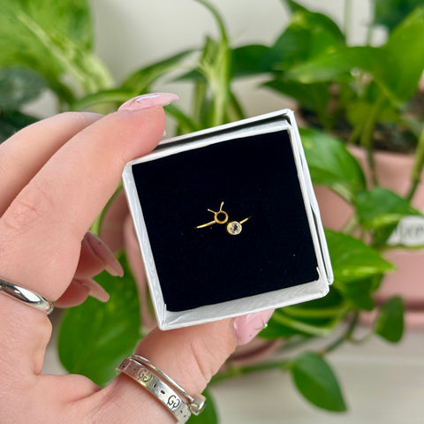 Gold Vermeil Adjustable Zodiac Ring