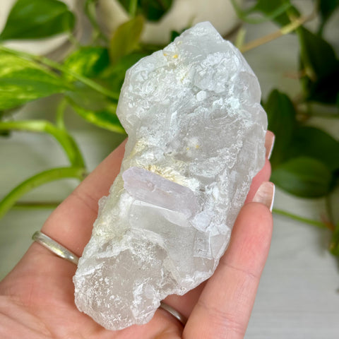 Kunzite Specimen - M