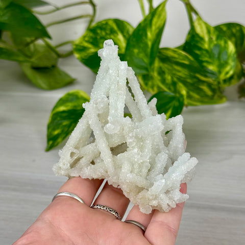 Frozen Key Lime Prehnite Specimen