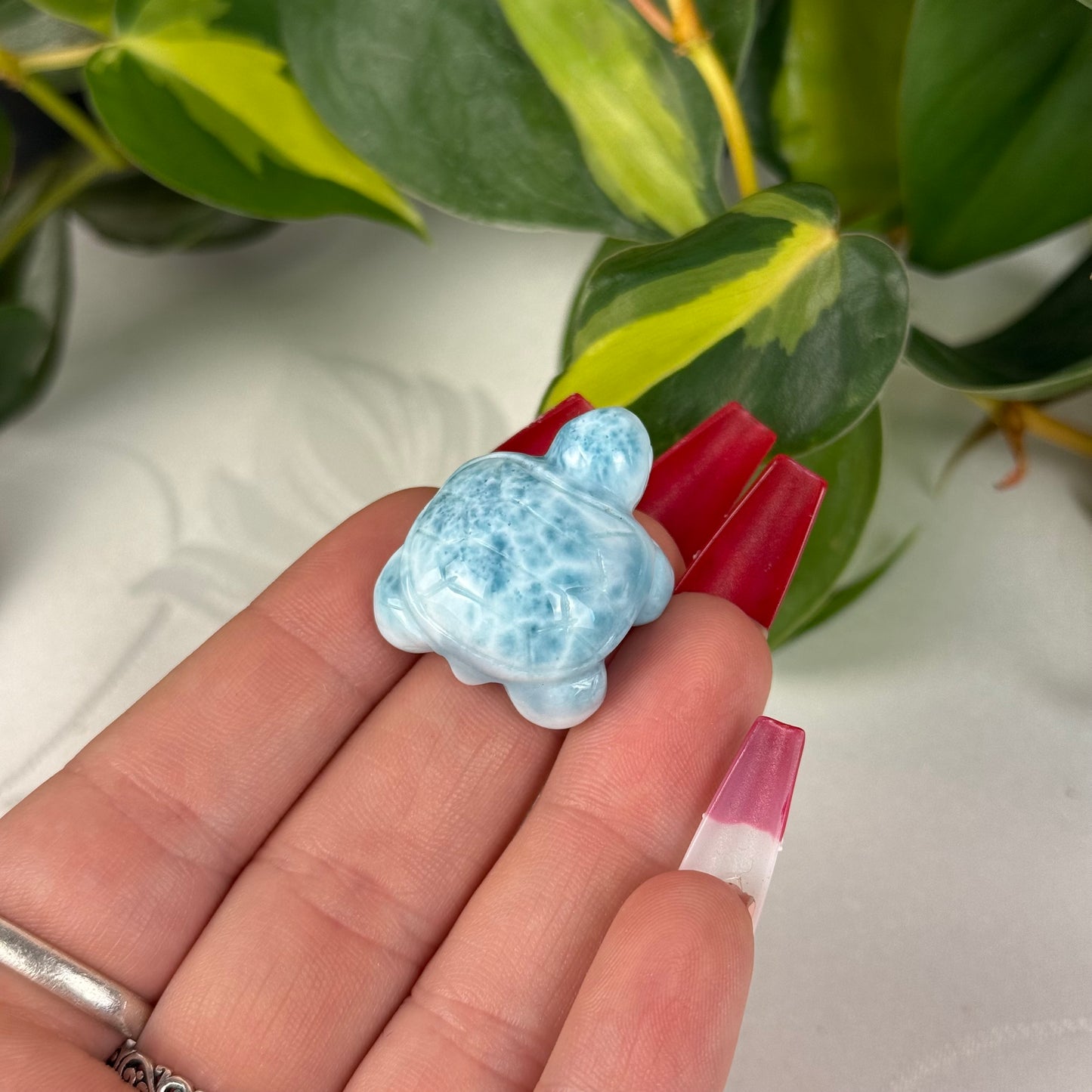 Mini Larimar Turtle