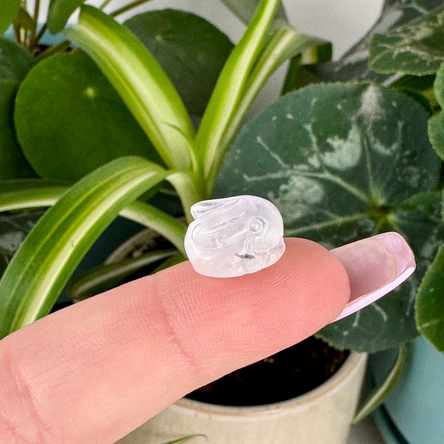 Mini AAA Moonstone Bunny