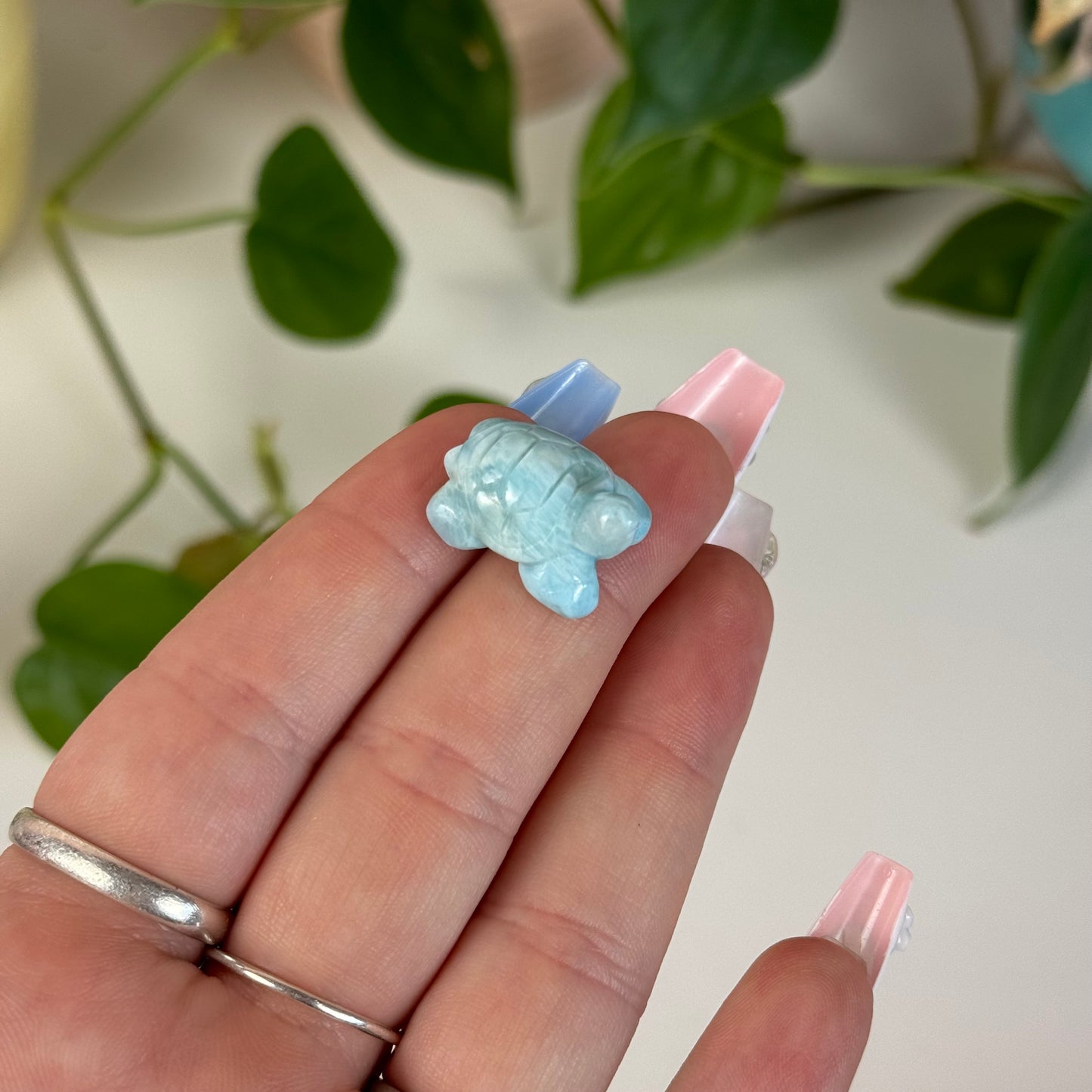 Mini Larimar Turtle