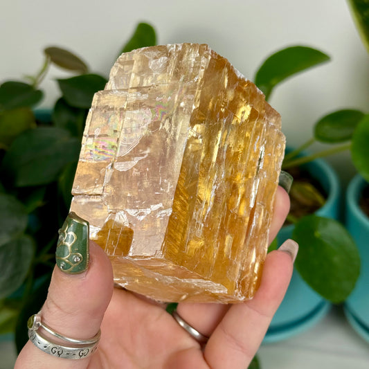 Honey Calcite Jelly