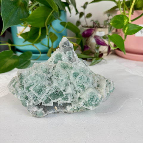 Clear-Out Sugar Fluorite
