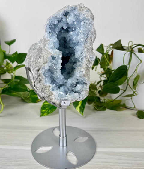 Glacier Blue Celestite Geode (W/ Custom Stand)