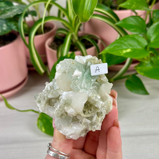 Disco Ball Apophyllite