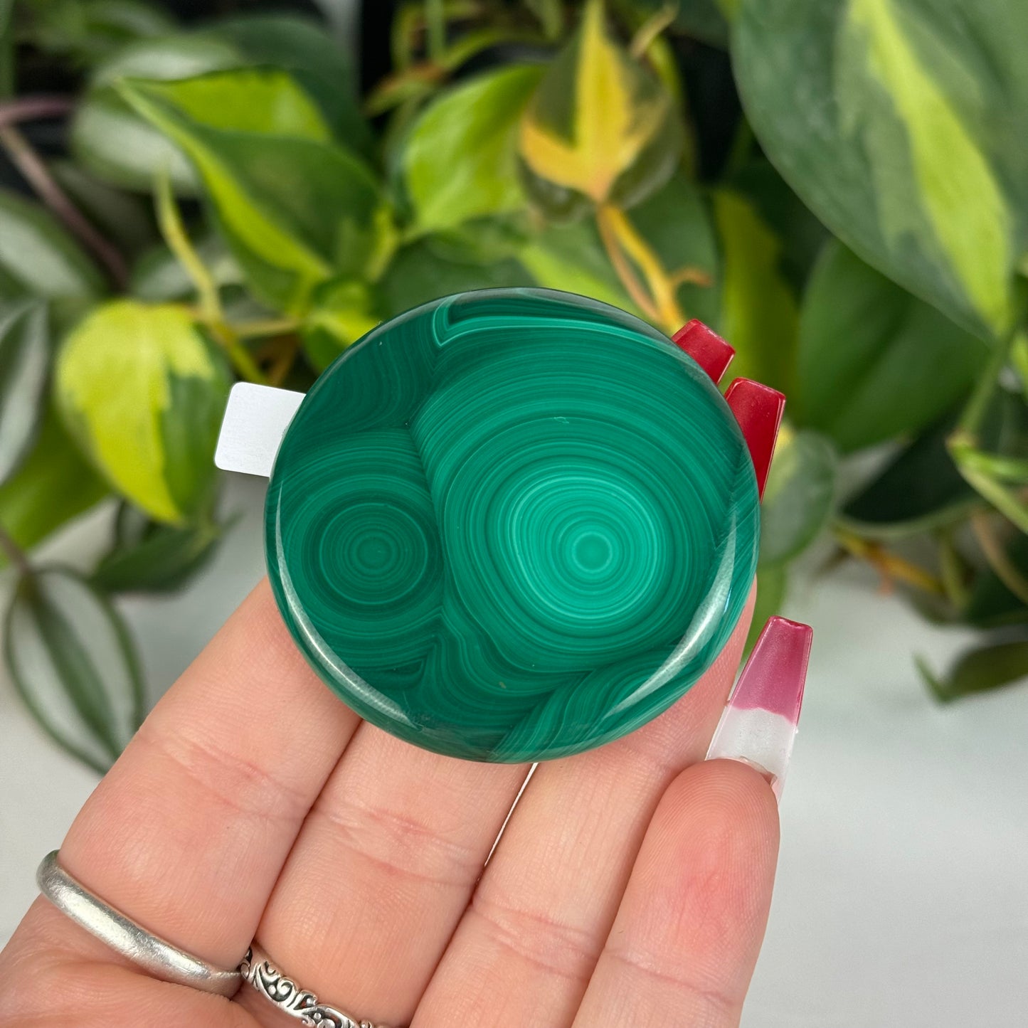 Mini Malachite Cookie