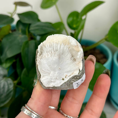 Scolecite Specimen