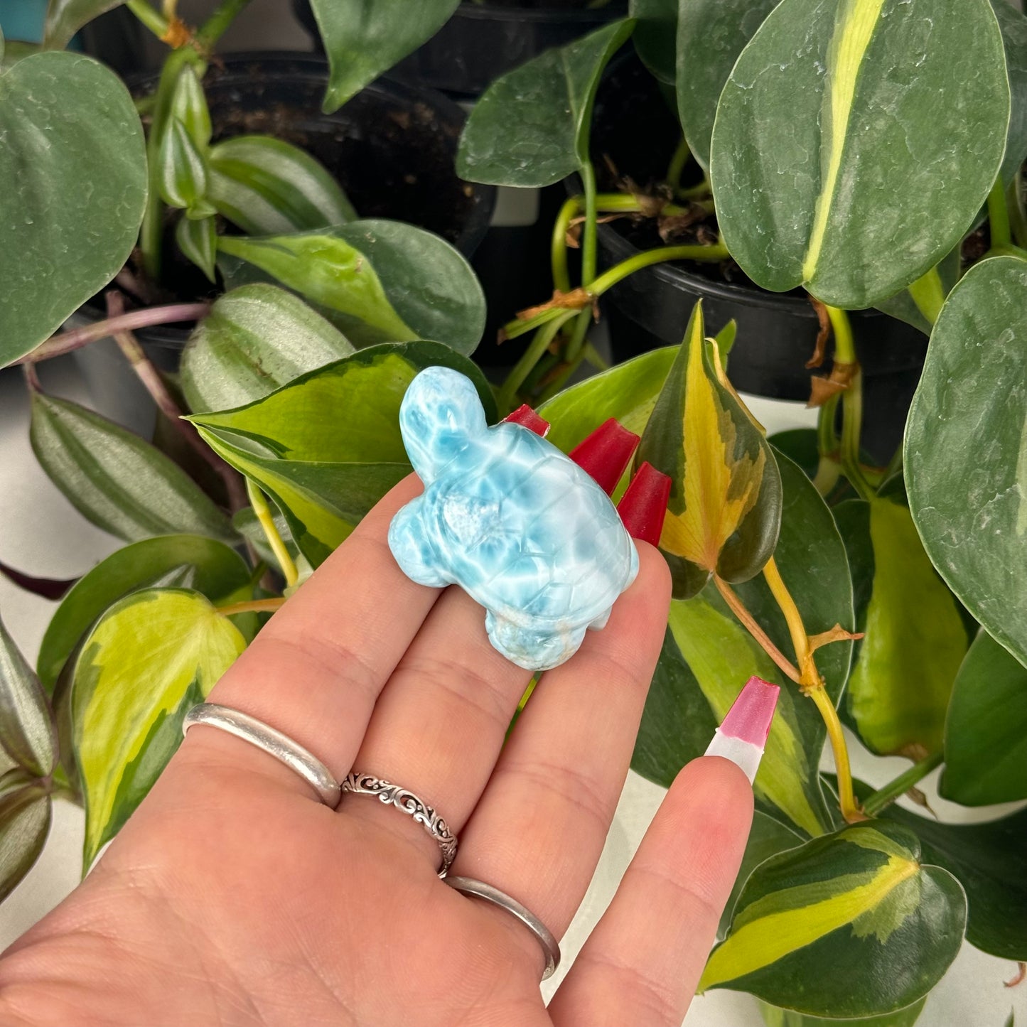 Mini Larimar Turtle