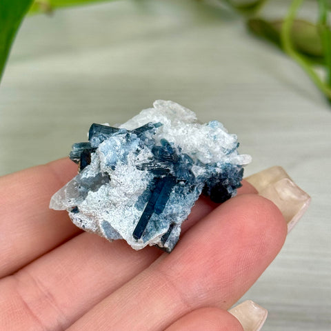 Indicolite Tourmaline Specimen