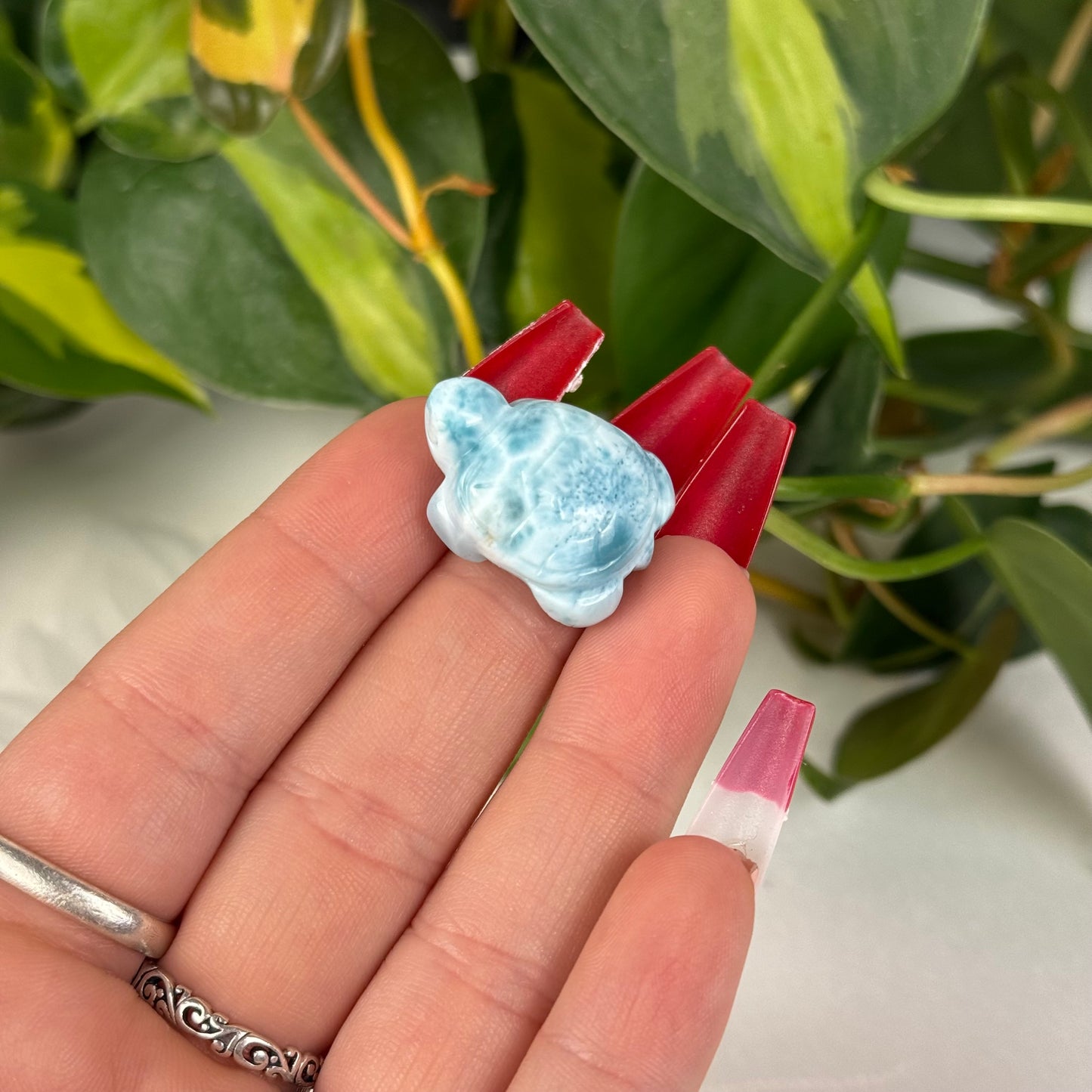 Mini Larimar Turtle