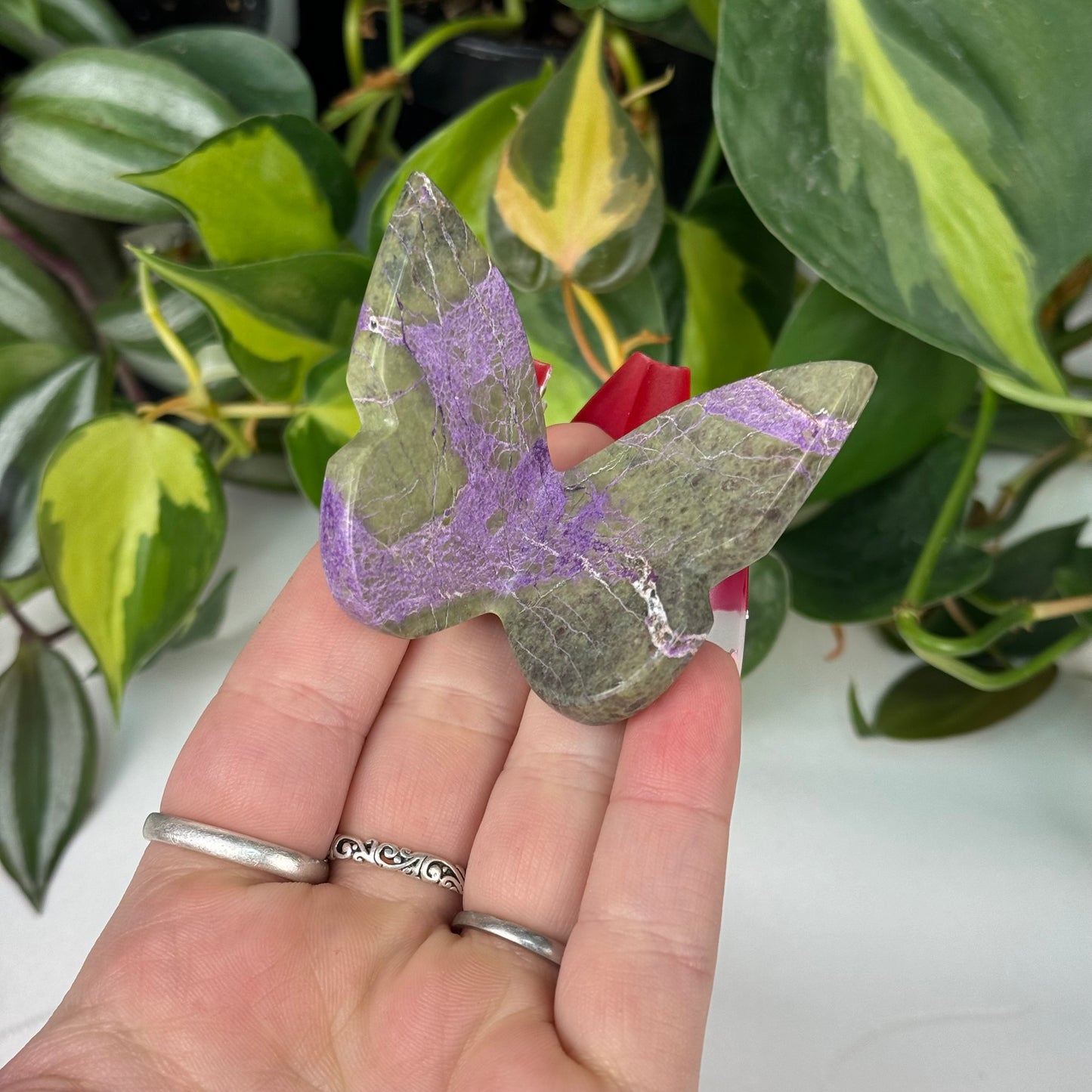 Imperfect Stichtite 3D Butterfly