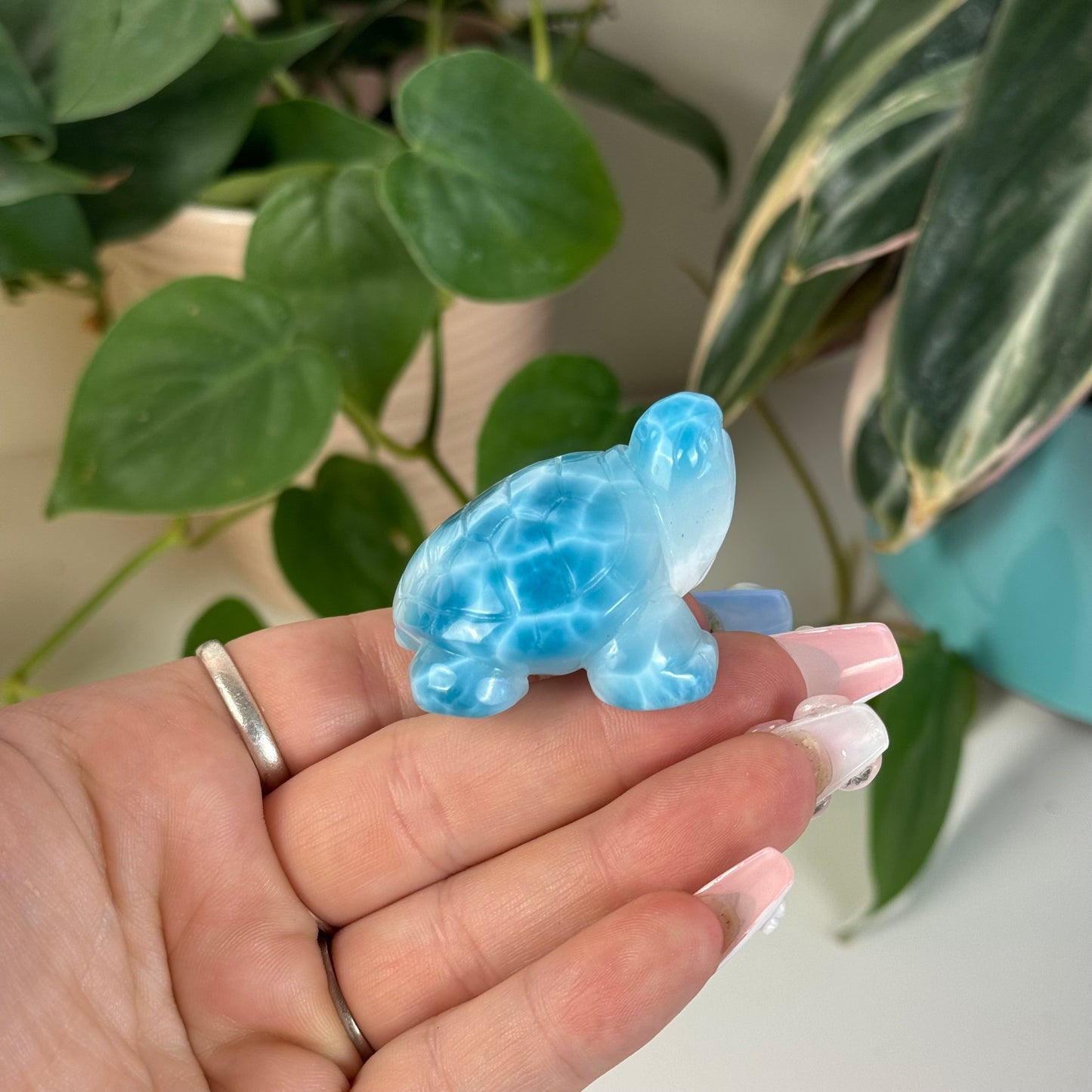 Large Larimar Turtle - J