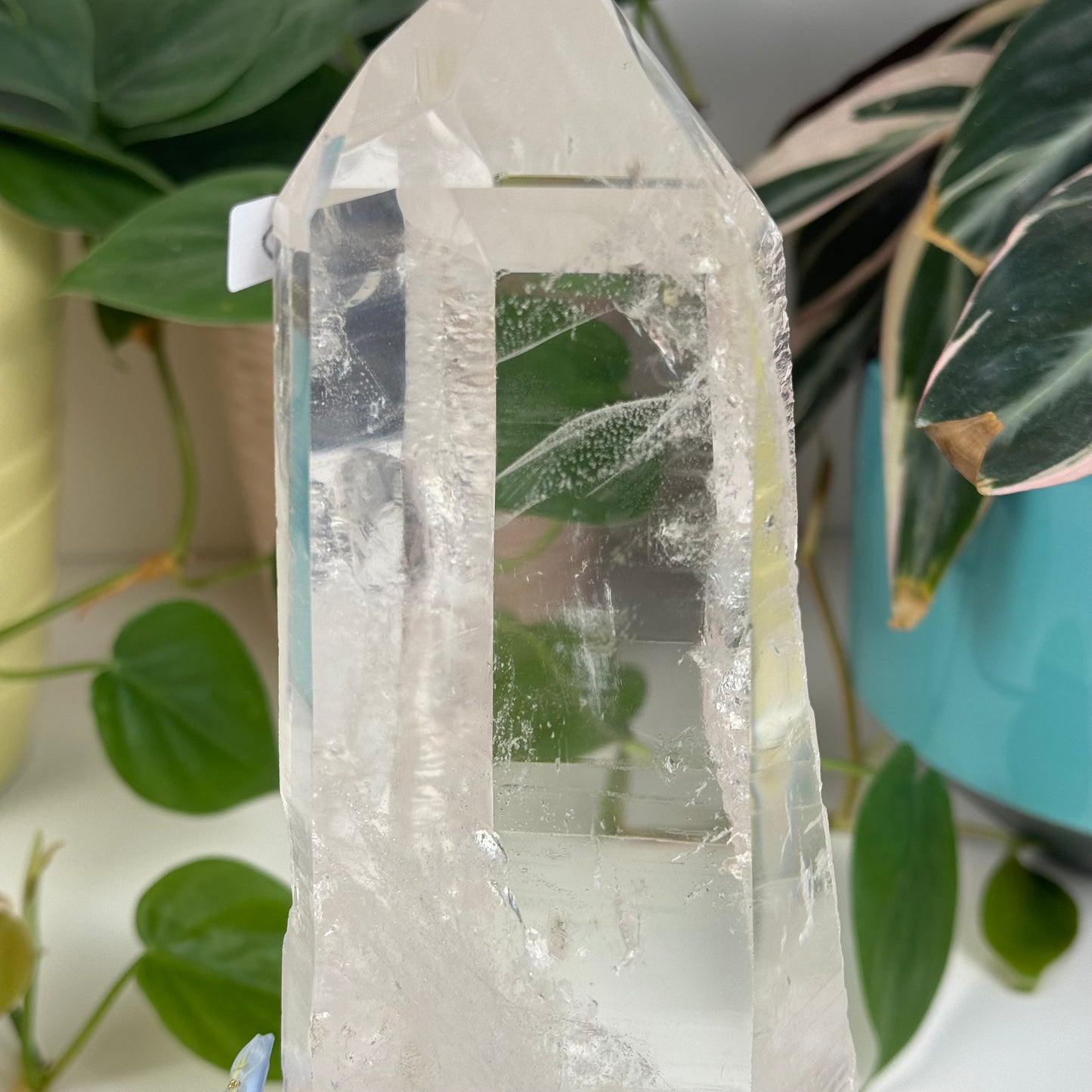 Incredible Lemurian Quartz (W/ Custom Stand) - D