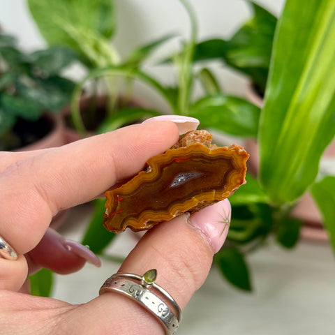 Indi German Agate