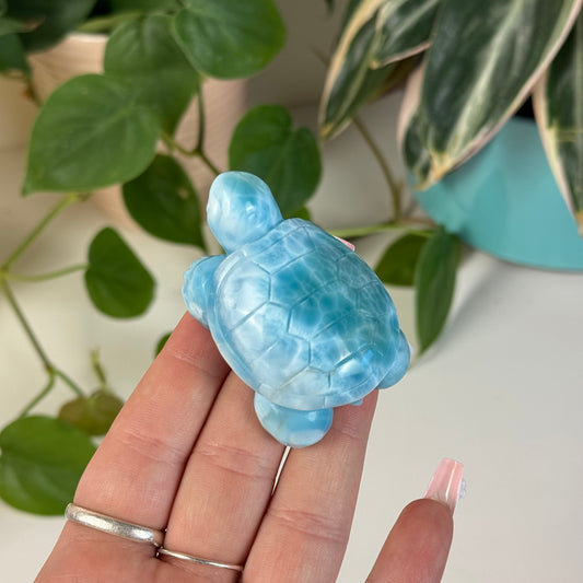 Large Larimar Turtle - E