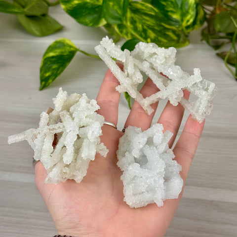 Frozen Key Lime Prehnite Specimen