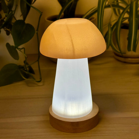 Enchanted Glowing Mushroom