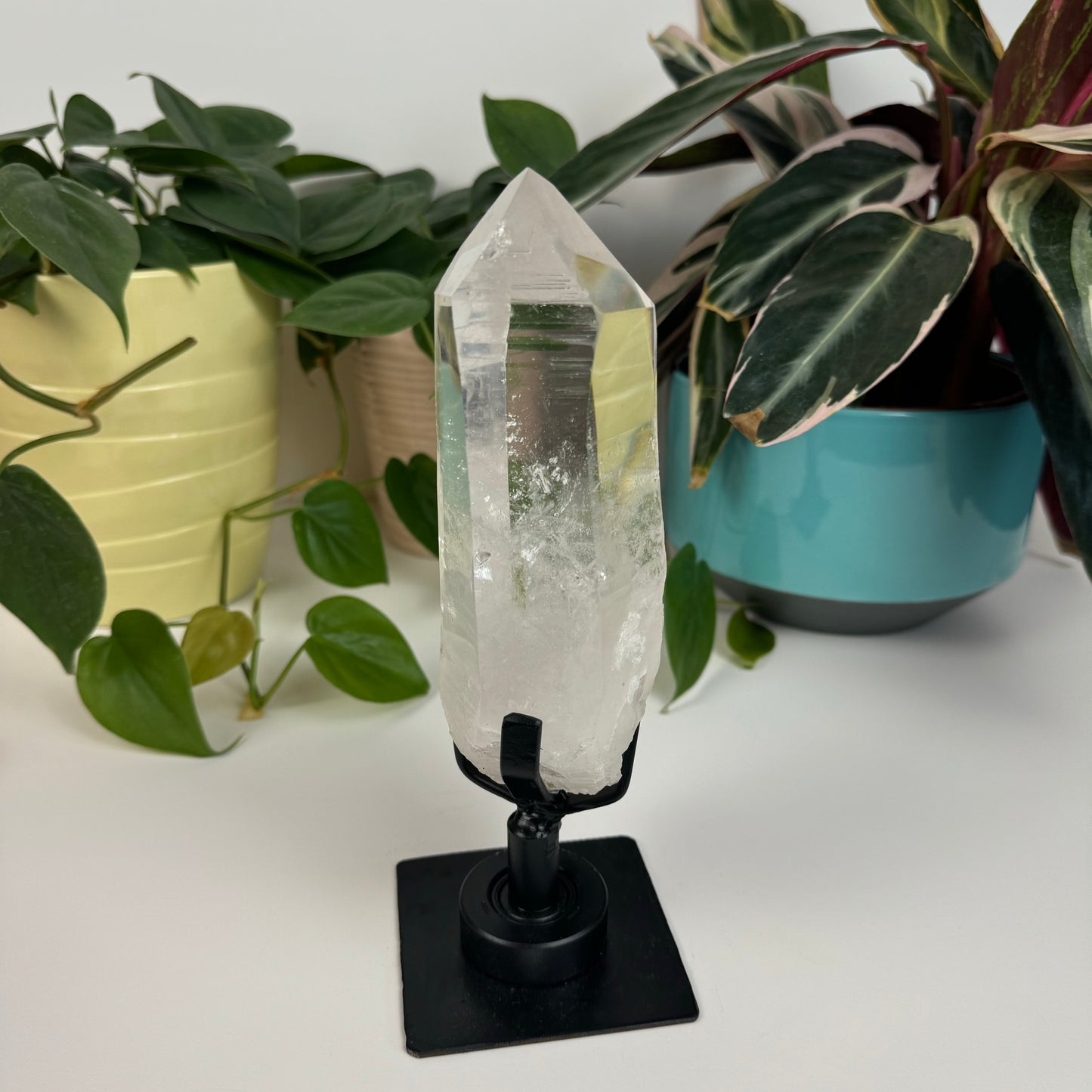 Incredible Lemurian Quartz (W/ Custom Stand) - L