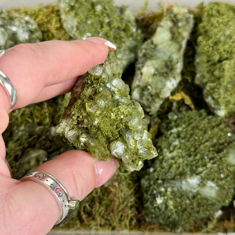 Forest Quartz