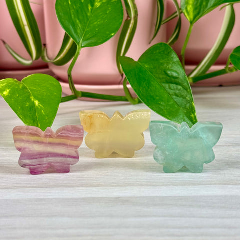 Candy Fluorite Crystal Butterfly