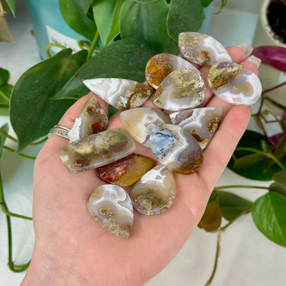 Scenic Moss Agate Cabochon