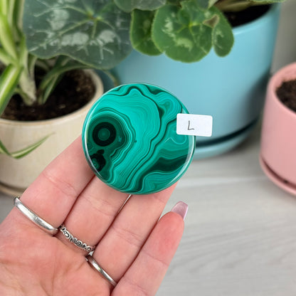 Malachite Cookie - L1