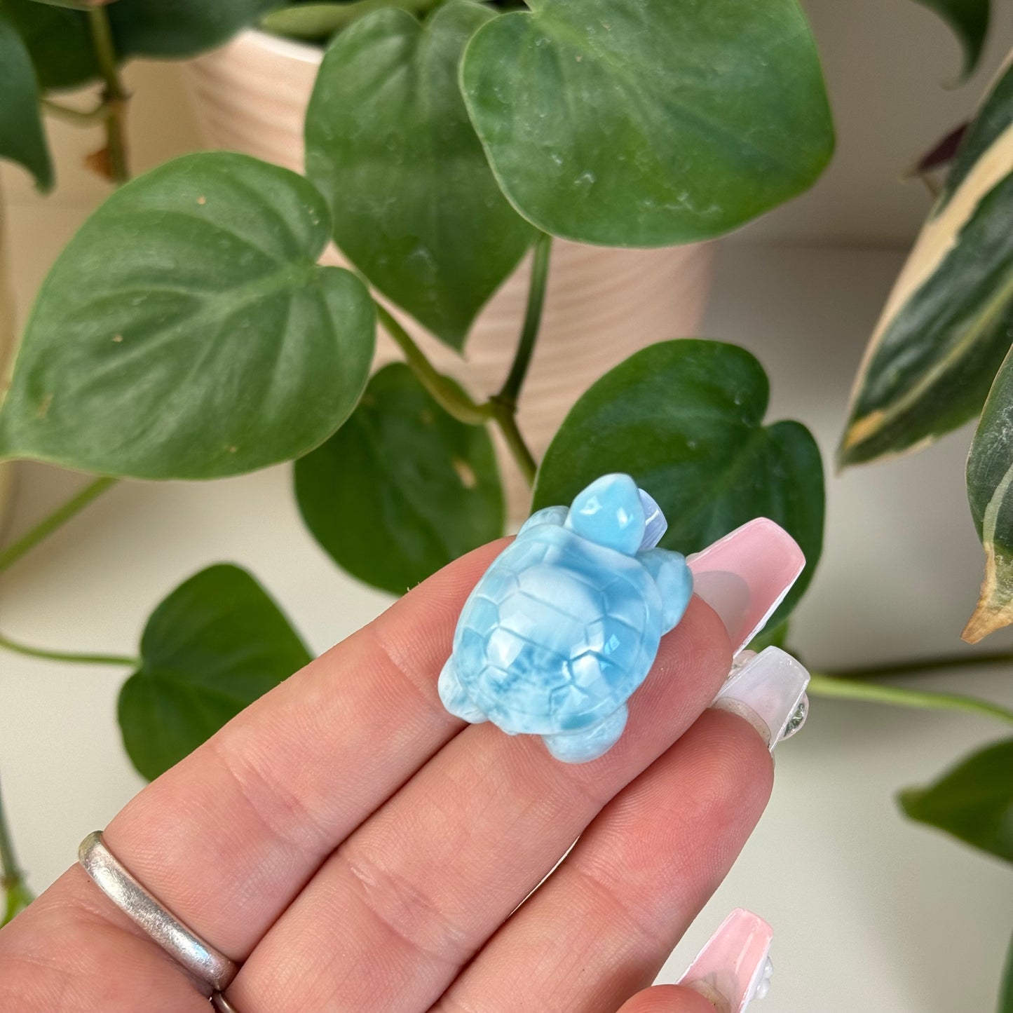 Small Larimar Turtle