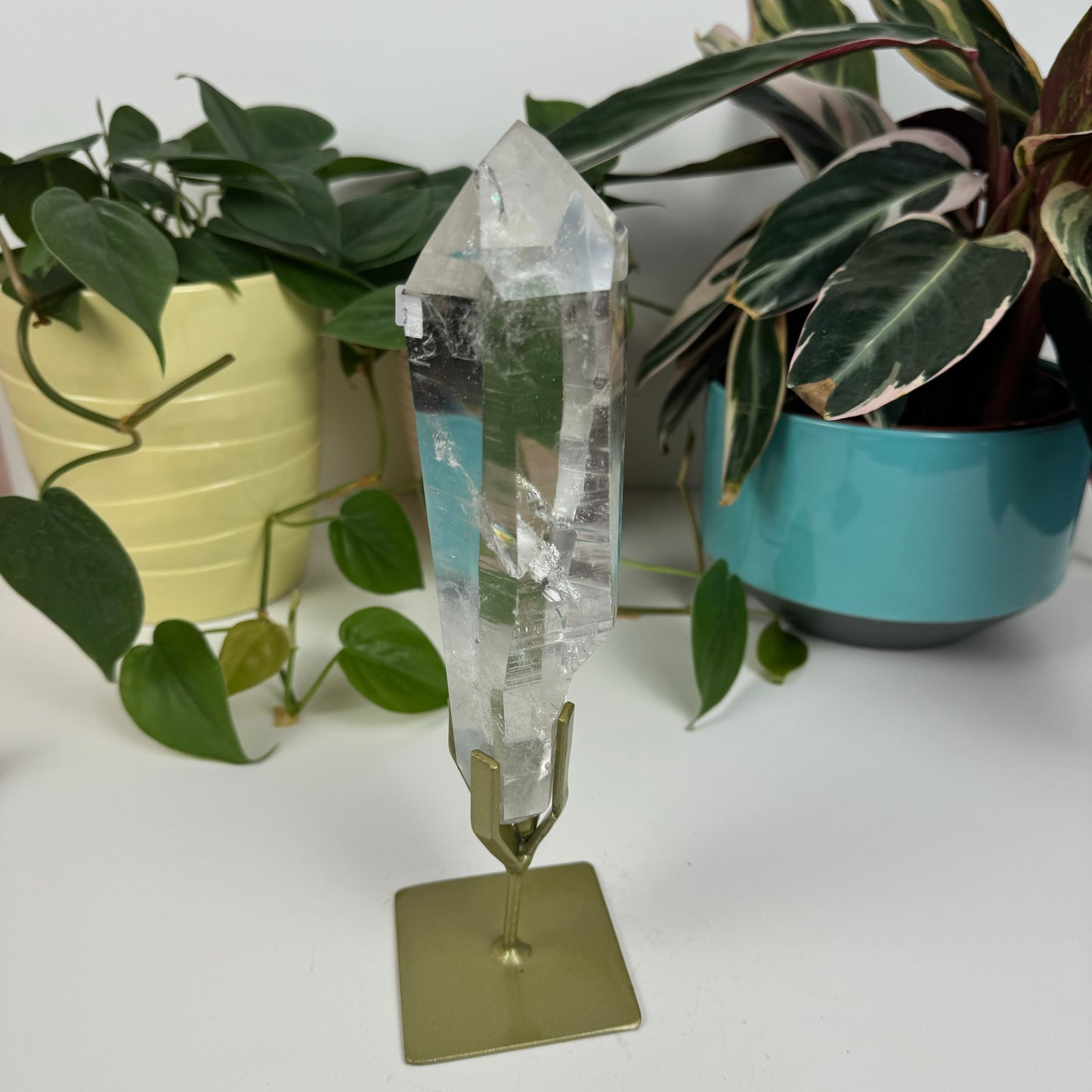 Incredible Lemurian Quartz (W/ Custom Stand) - U