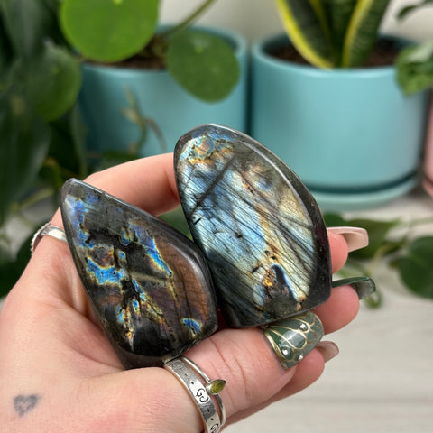 Intuitively Picked Labradorite Free Form