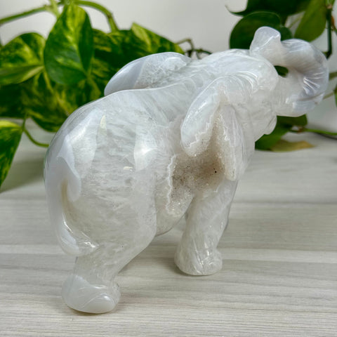 Statement Druzy Agate Elephant - Clara