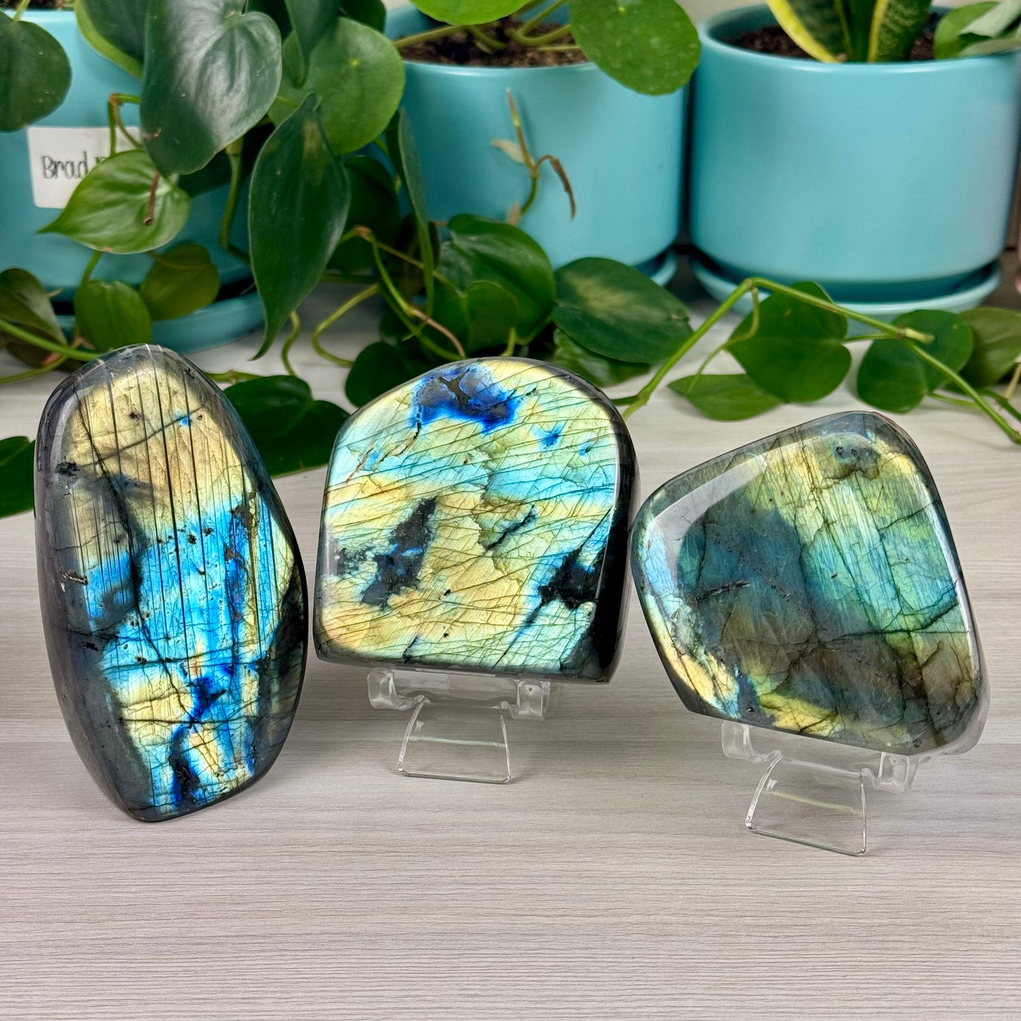 Green/Blue Labradorite Free Form