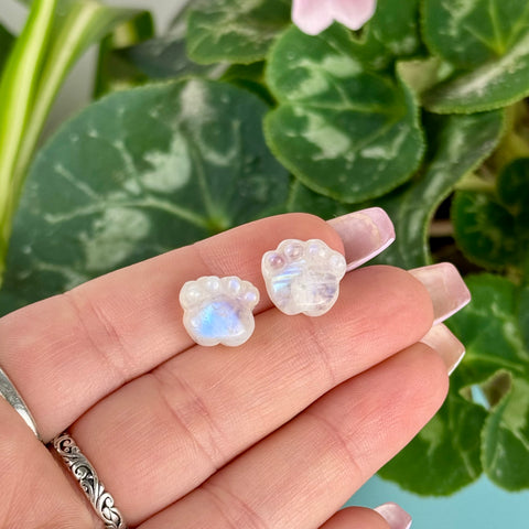 Mini AA Moonstone Pet Paw - Crystal Carving